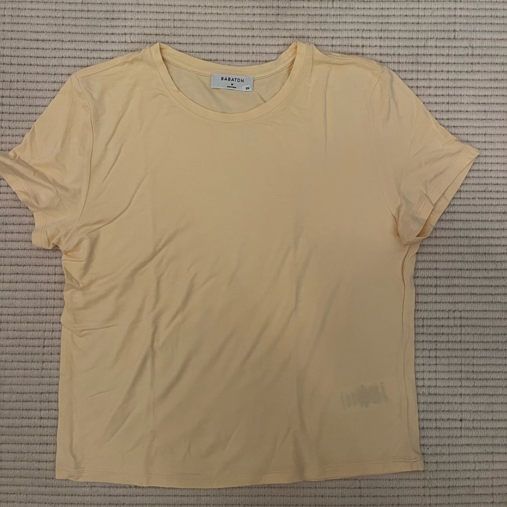 Aritzia Babaton Cotton TShirt